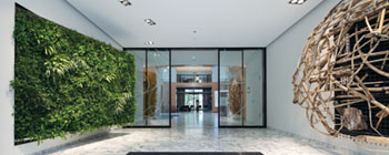 Green+ Hospitals - More than just Green Green+ Hospitals - More than just Green