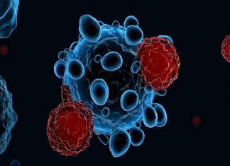 CAR T-Cell Therapy Provides High Remission Rate in Paediatric and Young Adult Patients with Relapsed or Refractory B-Cell ALL