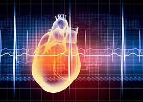 Facilitating cardiac decision-making at the point of care