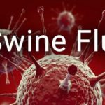 Swine_Flu