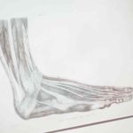 what-are-the-top-qualities-of-a-reputable-healthcare-business1