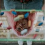 5 Things To Consider When Choosing The Best Rehab Center For You