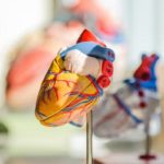 Steps You Need To Take In Case Of Medical Malpractice