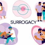 Gestational Surrogacy 101 How It Works, Benefits, And Risks1