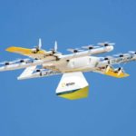 Wing-Apian-launching