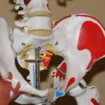 Hip Replacement Surgery1
