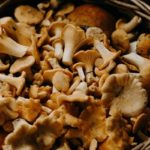 Mushrooms