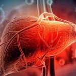 Liver