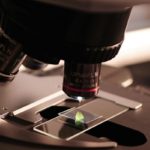 Biotech Labs