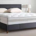 Sleep Mattress