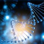 CRISPR Libraries