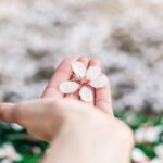 The-Importance-of-Emotional-Health-in-Holistic-Wellness