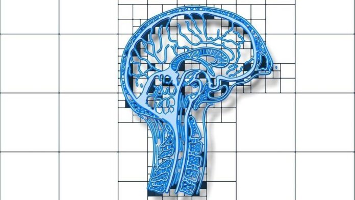 Understanding and Managing