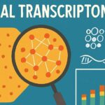 The-Evolution-of-Tissue-Profiling-Why-Spatial-Context-Matters