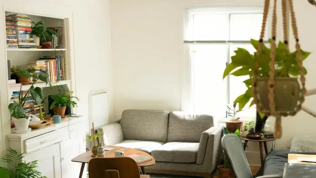 Bright living room with gray sectional couch, white shelves full of books and plants, and a hanging pot in the foreground.