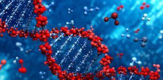 news - 11082-dna-science.jpg