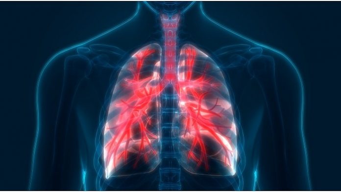 news - 11164-lungs-tease.jpg