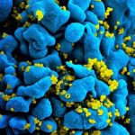 research_insight photo