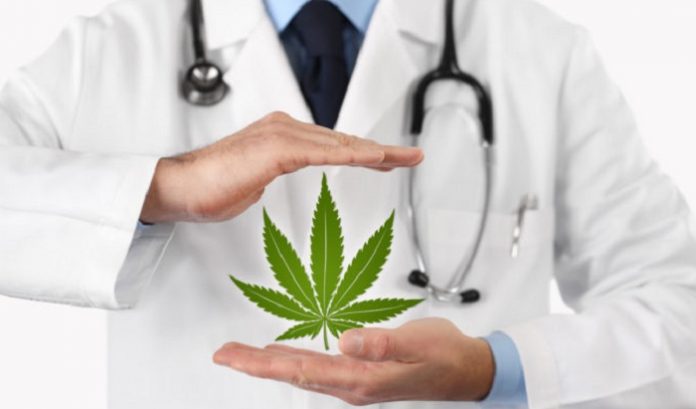 Drive Medical Cannabis in the 21st Century 