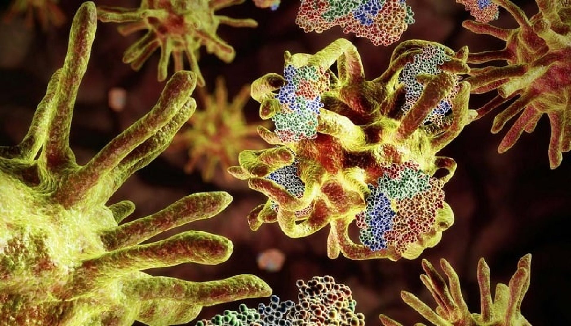 Prion Disease Diagnostics Marketto grow at a moderate pace by 2025