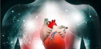 World first in AI helps scan heart disease patients to predict heart attacks and stroke