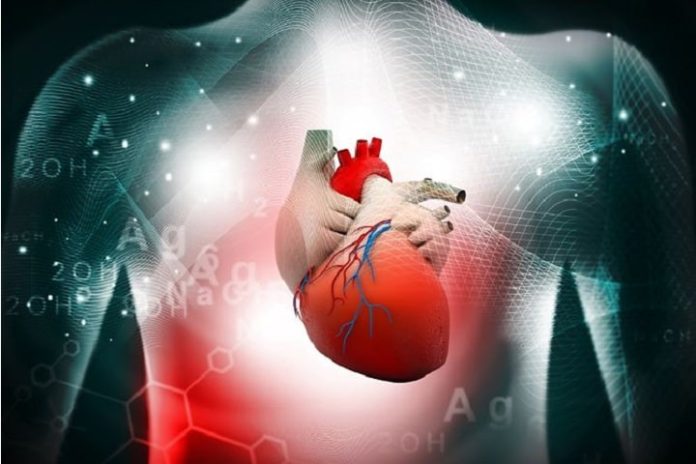 World first in AI helps scan heart disease patients to predict heart attacks and stroke