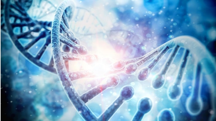 co diagnostics inc co dx co diagnostics inc co dx