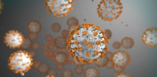 Siemens Healthineers Releases Test Kit for Coronavirus COVID-19 