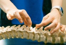 5 Important Reasons to Visit a Chiropractor Regularly