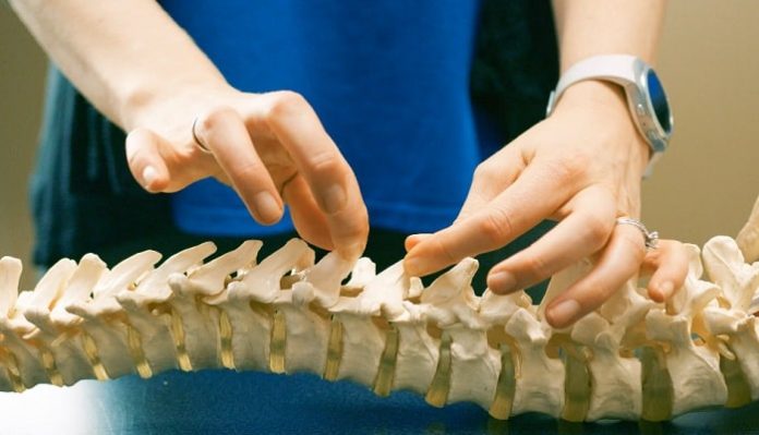 5 Important Reasons to Visit a Chiropractor Regularly