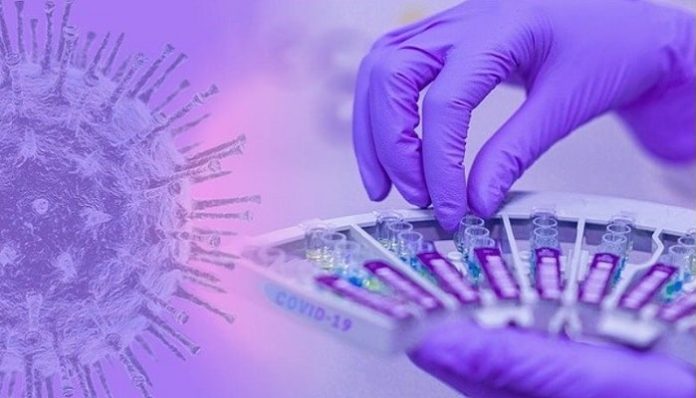 Syngene and HiMedia partner to manufacture Covid-19 test kits in India