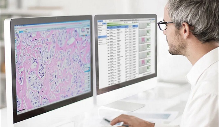 Paige Receives FDA Clearance for the FullFocus Viewer for Digital Pathology
