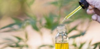 Can CBD be a Potential COVID-19 Treatment?