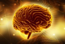  Stentrode brain-computer interface receives breakthrough device designation from FDA