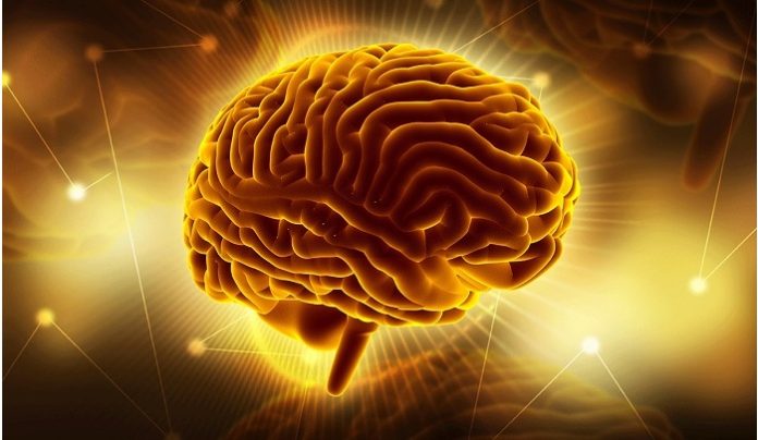  Stentrode brain-computer interface receives breakthrough device designation from FDA