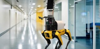 Researchers have built a dog-like robot nurse to remotely measure patients vital signs