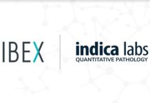 Indica Labs and Ibex Partner to Deliver AI-powered Clinical Workflows for Digital Pathology
