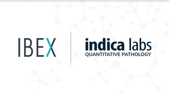 Indica Labs and Ibex Partner to Deliver AI-powered Clinical Workflows for Digital Pathology