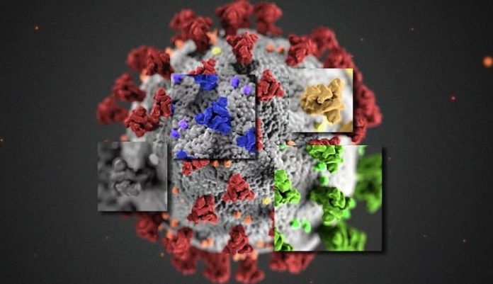 UK launches plans for global pandemic radar to detect Covid-19 variants