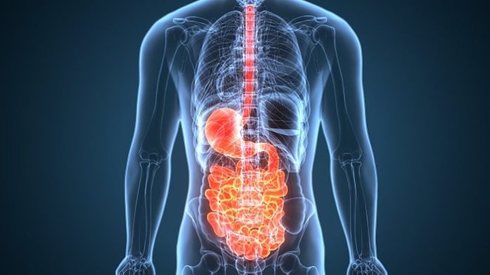 5 Tips For Digestive And Gut Health According To Experts