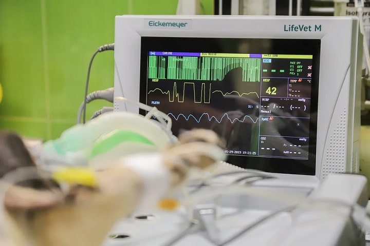 What Can We Do With These Patient Monitor Videos?