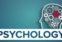 How To Stay Healthy And Thrive During Your Psychology Program