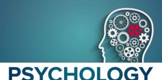 How To Stay Healthy And Thrive During Your Psychology Program