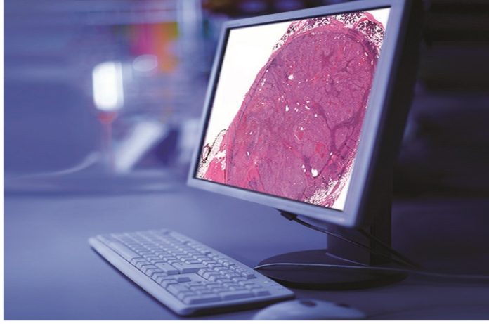 Paige And Sonora Quest Join For Pathology Flow Digitizing
