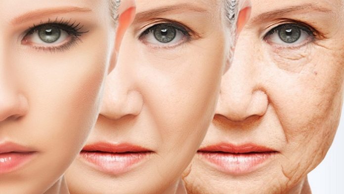 What Does Science Really Know About Anti-Aging?