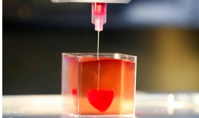 Australia Pioneers The 3-D Printed Heart Tissue Treatment