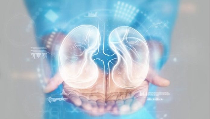 AWAK Technologies Earns FDA Breakthrough Status for AI-Driven Kidney Disease Predictor