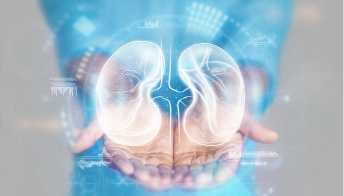 AWAK Technologies Earns FDA Breakthrough Status for AI-Driven Kidney Disease Predictor