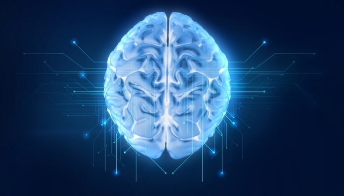 GE Healthcare Partnership Takes Aim at Brain Aneurysms with AI