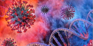 Impact BioMedicals Linebacker and Equivir inhibit SARS-CoV-2, virus responsible for the COVID-19 outbreak